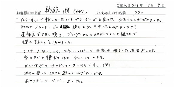 ミニチュアピンシャーお客様の声