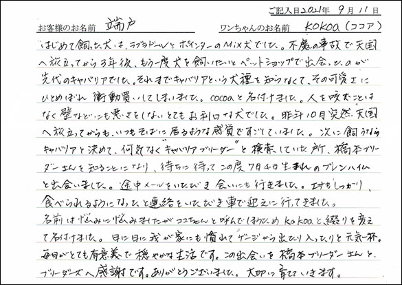 ミニチュアピンシャーお客様の声