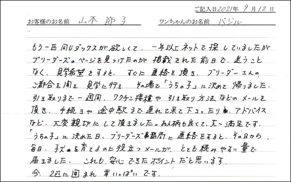 ミニチュアピンシャーお客様の声