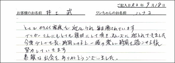 ミニチュアピンシャーお客様の声