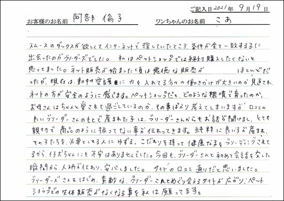 ミニチュアピンシャーお客様の声