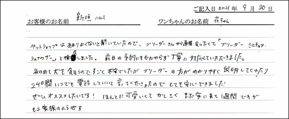 ミニチュアピンシャーお客様の声