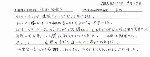 ミニチュアピンシャーお客様の声
