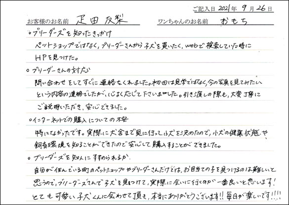 ミニチュアピンシャーお客様の声