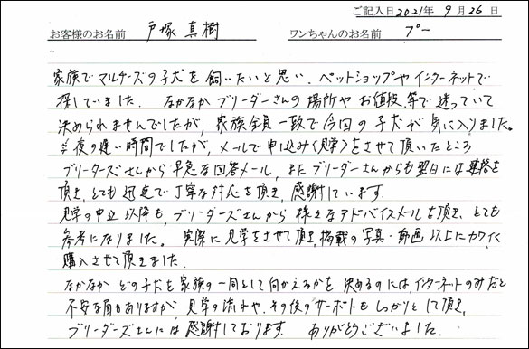 ミニチュアピンシャーお客様の声