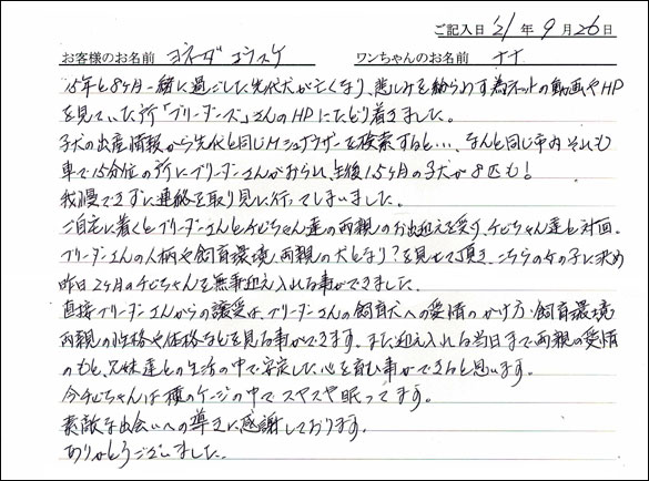 ミニチュアピンシャーお客様の声