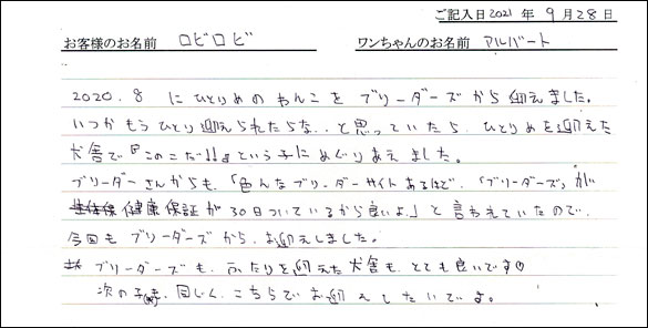 ミニチュアピンシャーお客様の声