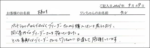 ミニチュアピンシャーお客様の声