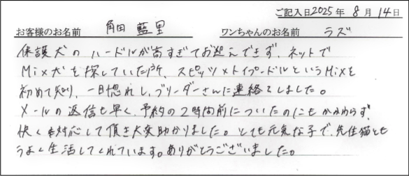 チワワお客様の声