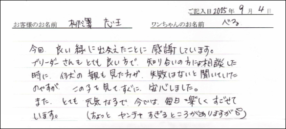 子犬お客様の声