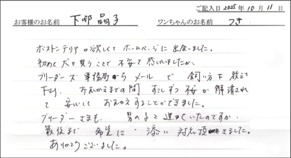 子犬お客様の声