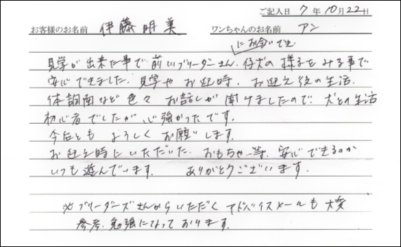 キャバリアお客様の声