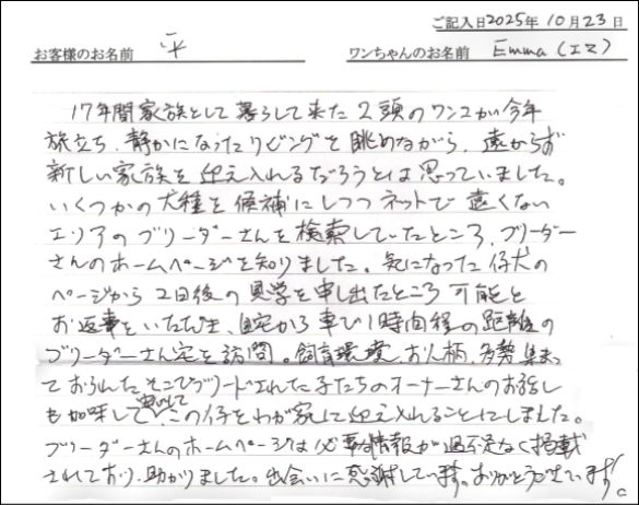 子犬お客様の声