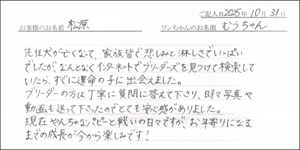 ゴールデンレトリーバーお客様の声