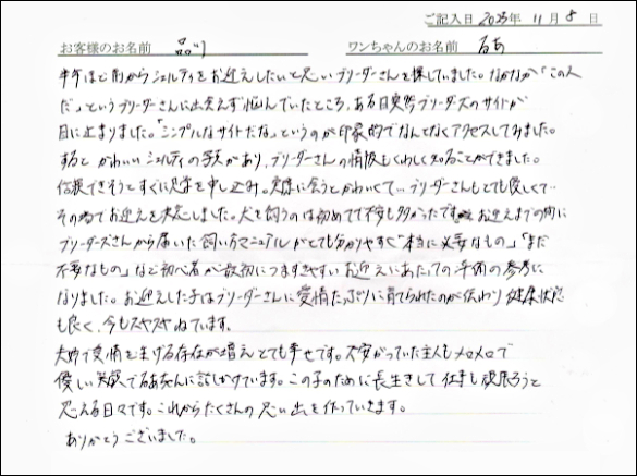 子犬お客様の声