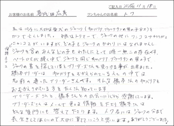 ボーダーコリーお客様の声