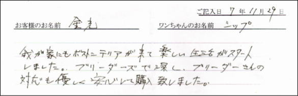 ボーダーコリーお客様の声