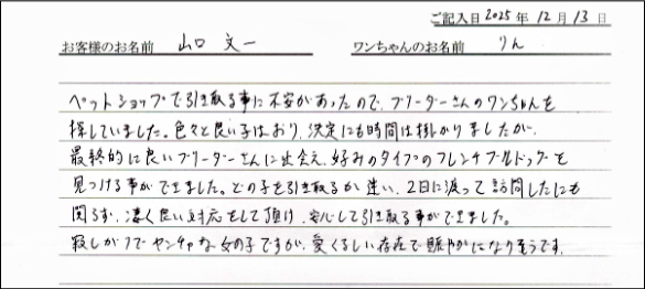 ボーダーコリーお客様の声