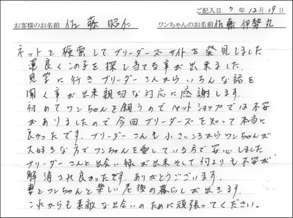 ノーリッチテリアお客様の声