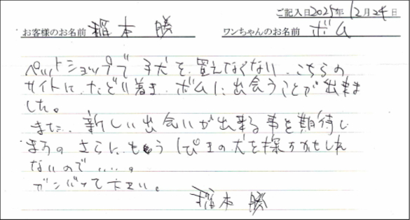 チワワお客様の声