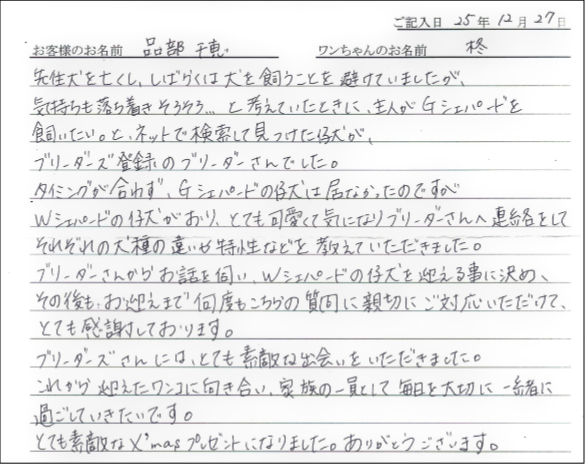 チワワお客様の声