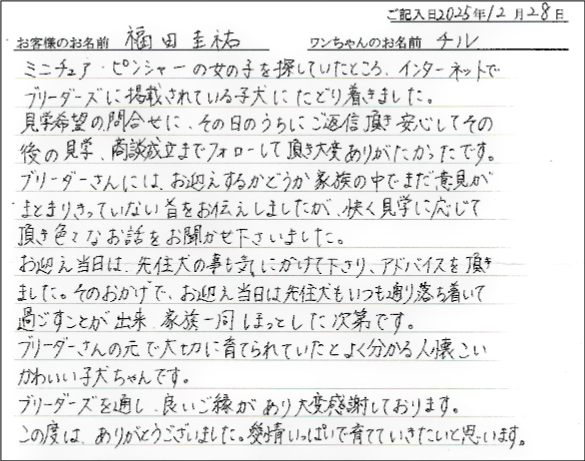 チワワお客様の声