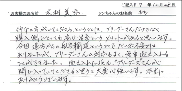 チワワお客様の声