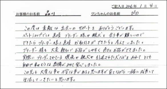 ミニチュアピンシャーお客様の声