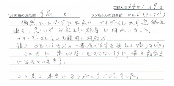 コーギーお客様の声