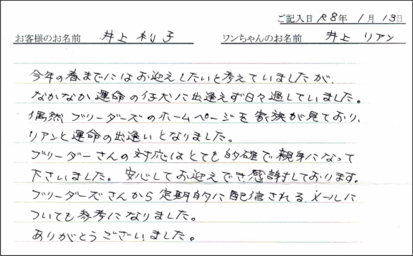 コーギーお客様の声