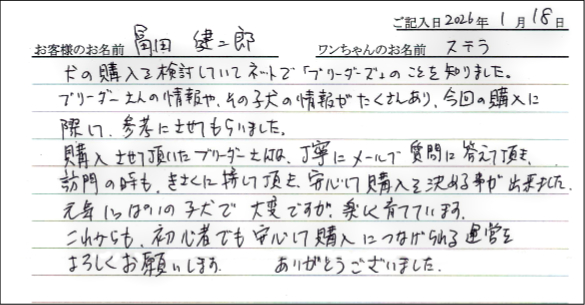 コーギーお客様の声