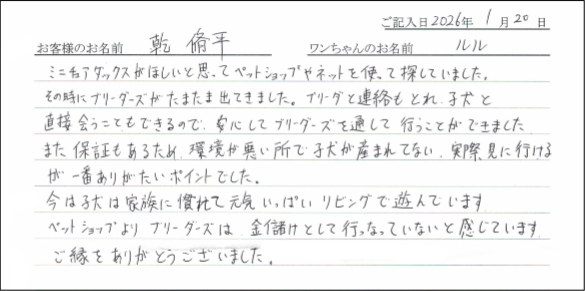 子犬お客様の声