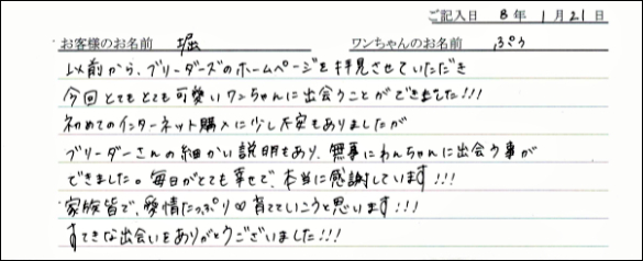 ミニチュア・シュナウザーお客様の声