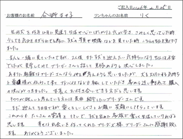 フレンチブルドッグお客様の声