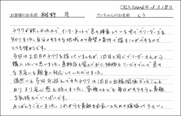 ノーリッチテリアお客様の声